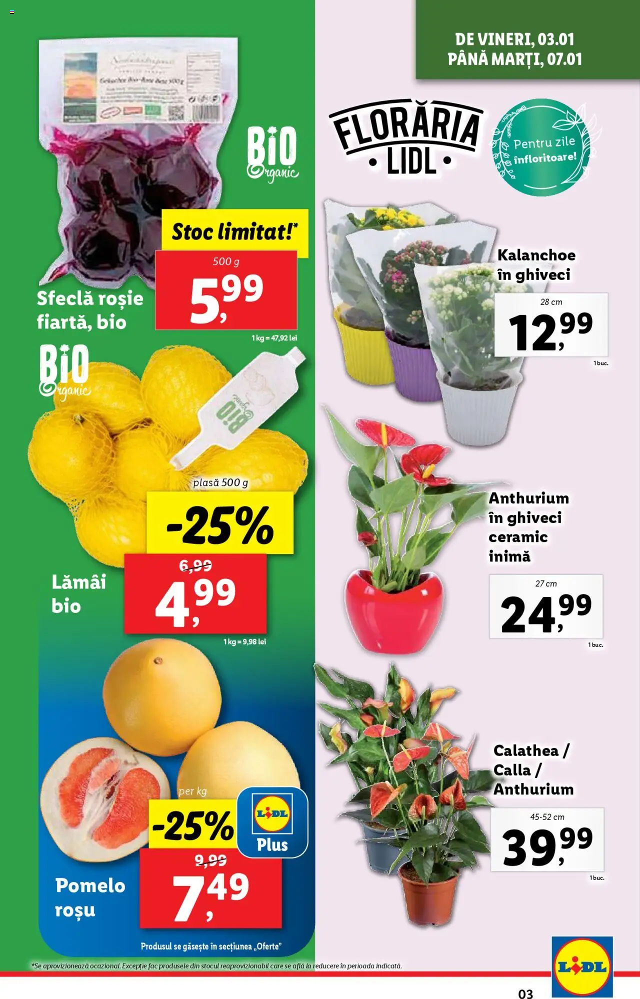 Catalog LIDL 2 - 5 Ianuarie 2025 | Pagina 3