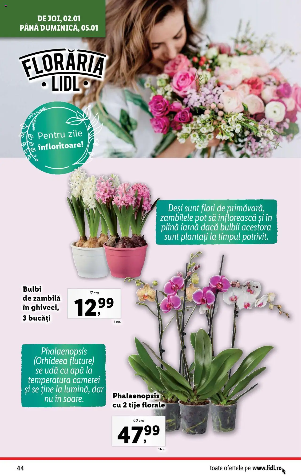 Catalog LIDL 2 - 5 Ianuarie 2025 | Pagina 44