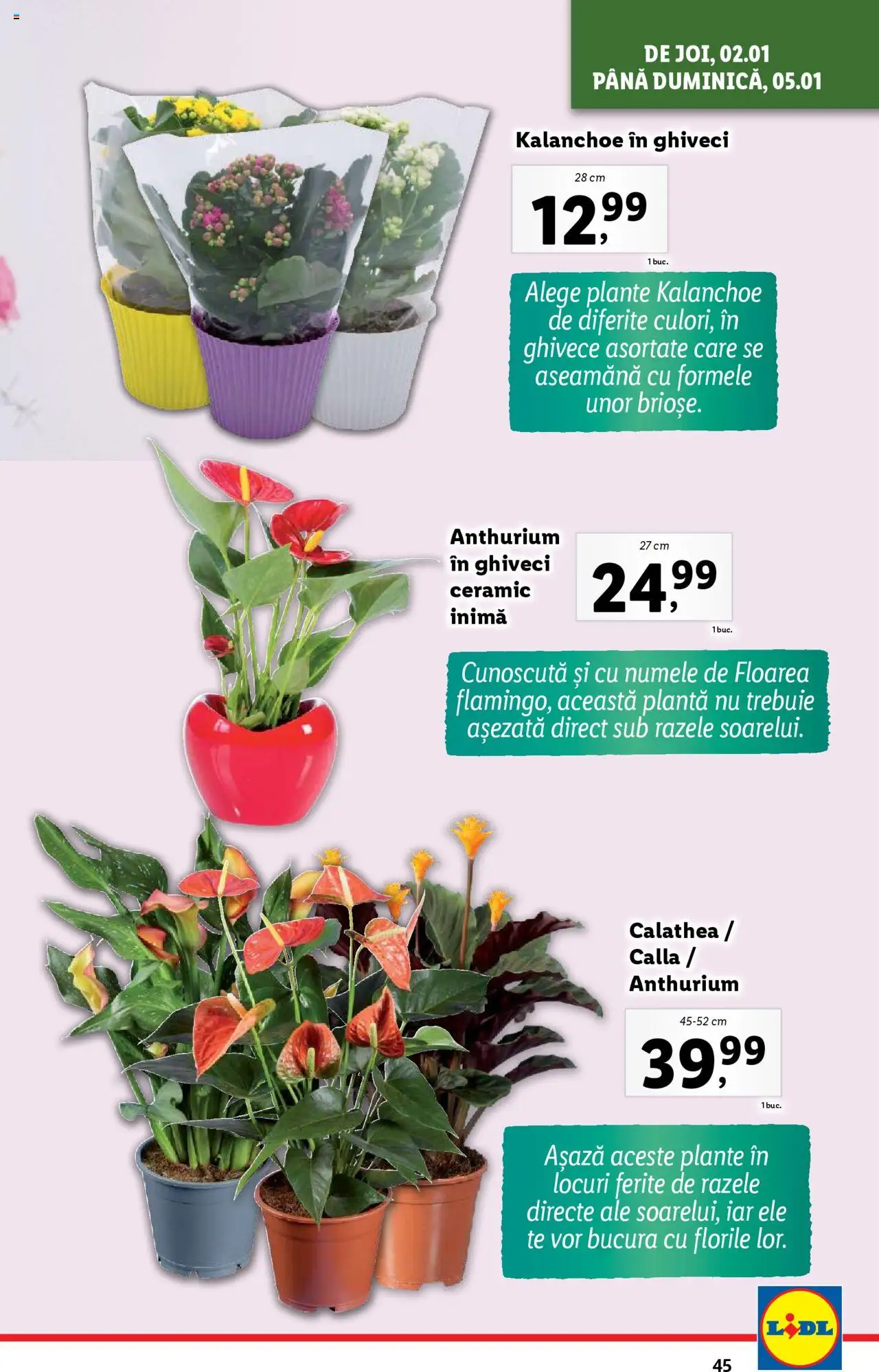 Catalog LIDL 2 - 5 Ianuarie 2025 | Pagina 45