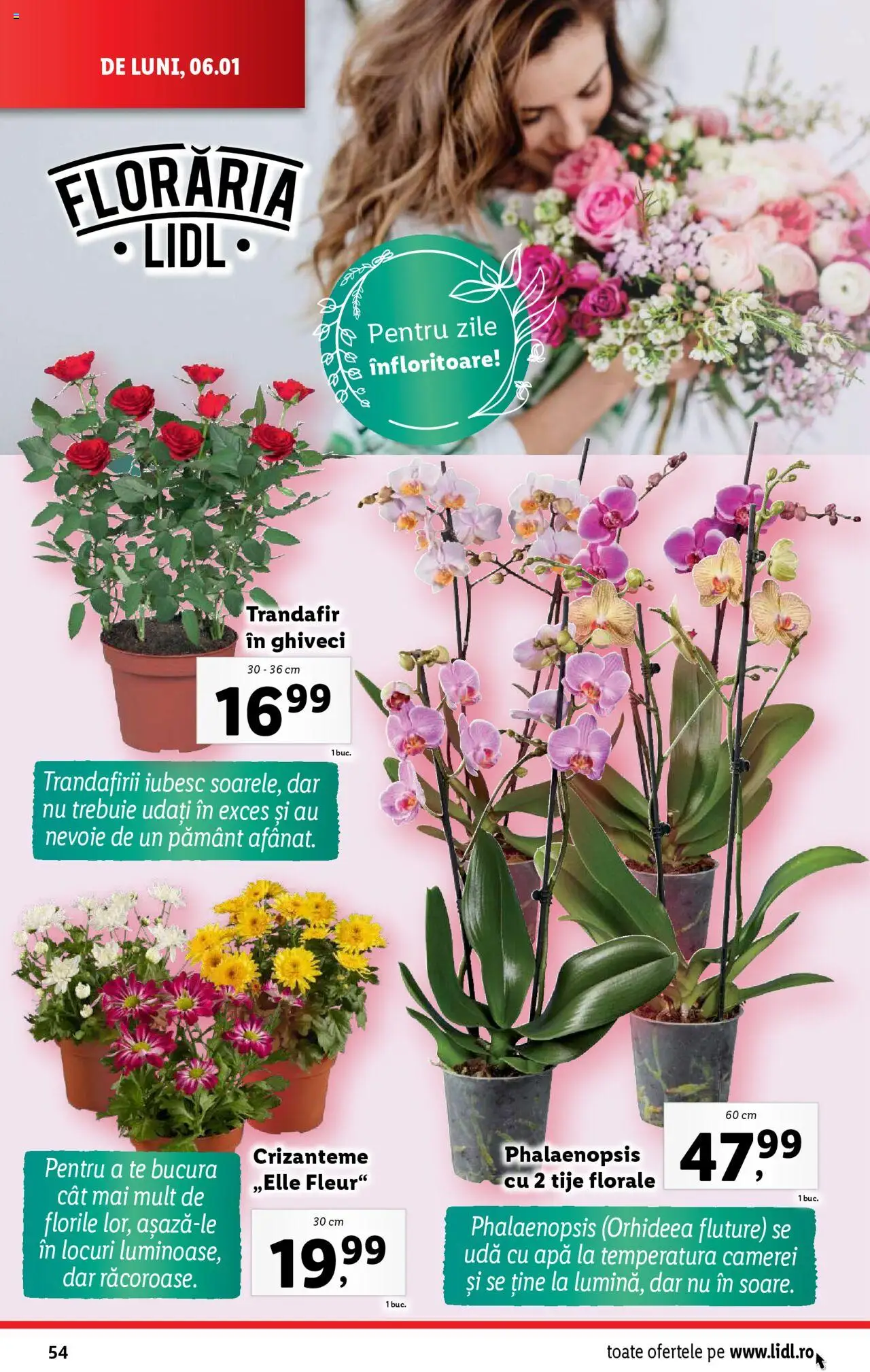 Catalog LIDL 6 - 12 Ianuarie 2025 | Pagina 54