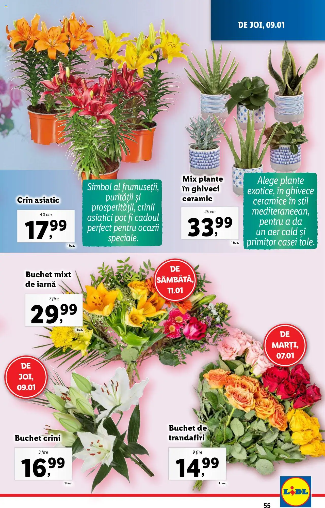 Catalog LIDL 6 - 12 Ianuarie 2025 | Pagina 55