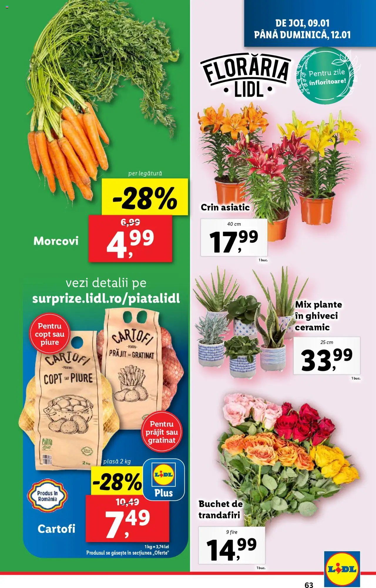 Catalog LIDL 6 - 12 Ianuarie 2025 | Pagina 63
