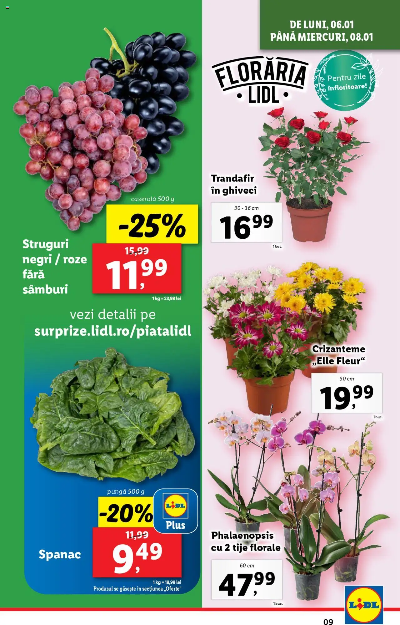 Catalog LIDL 6 - 12 Ianuarie 2025 | Pagina 9