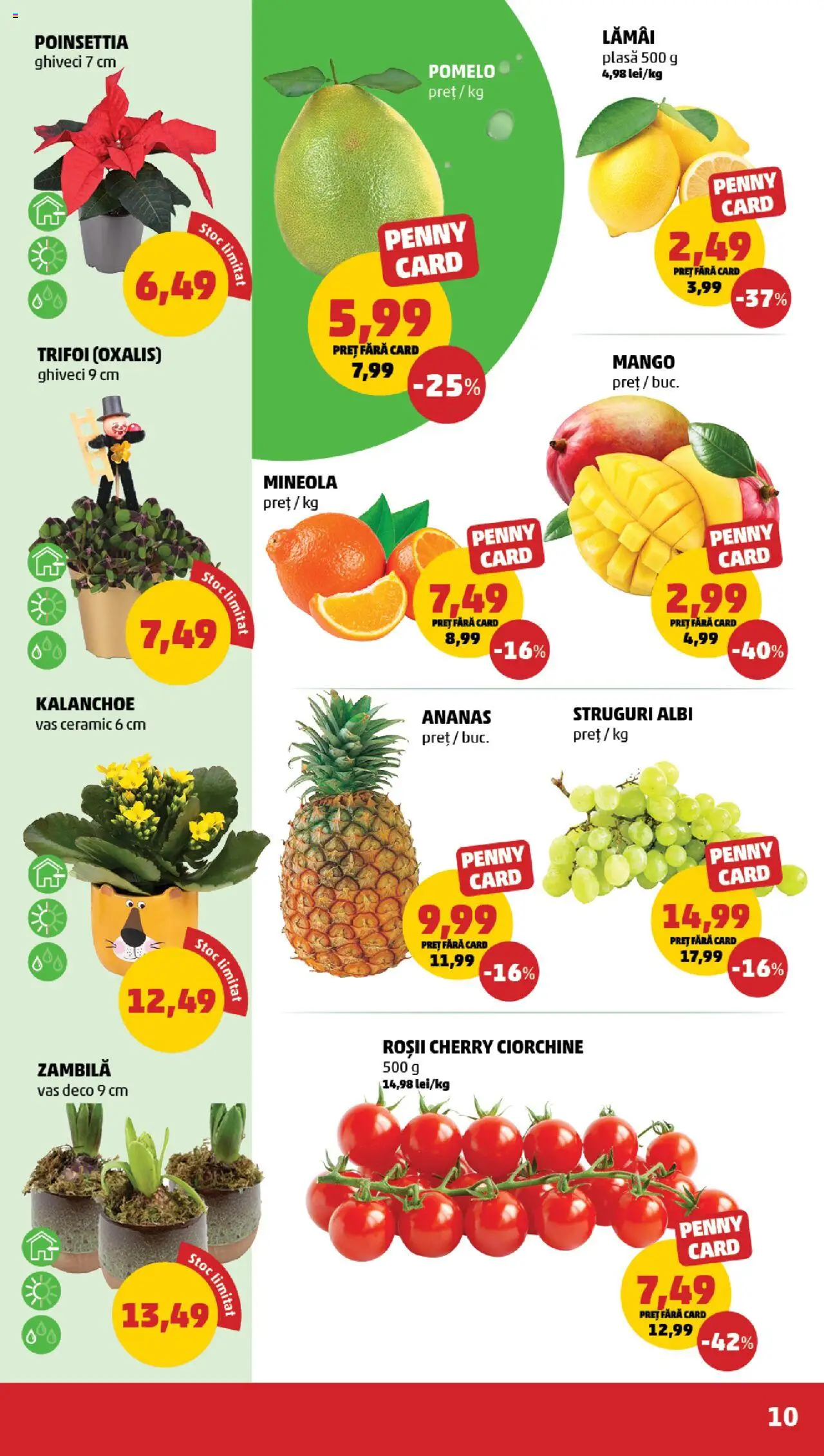 Catalog PENNY Market 26 - 31 Decembrie 2024 | Pagina 10