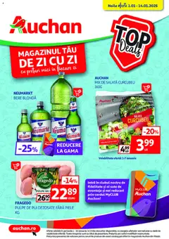 Catalog Auchan
