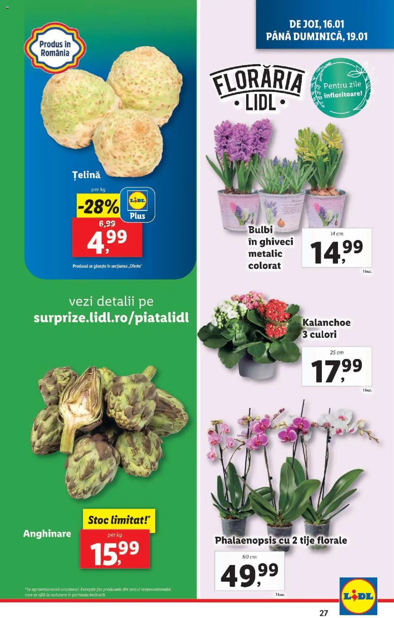 Catalog LIDL 13 - 19 Ianuarie 2025 | Pagina 27