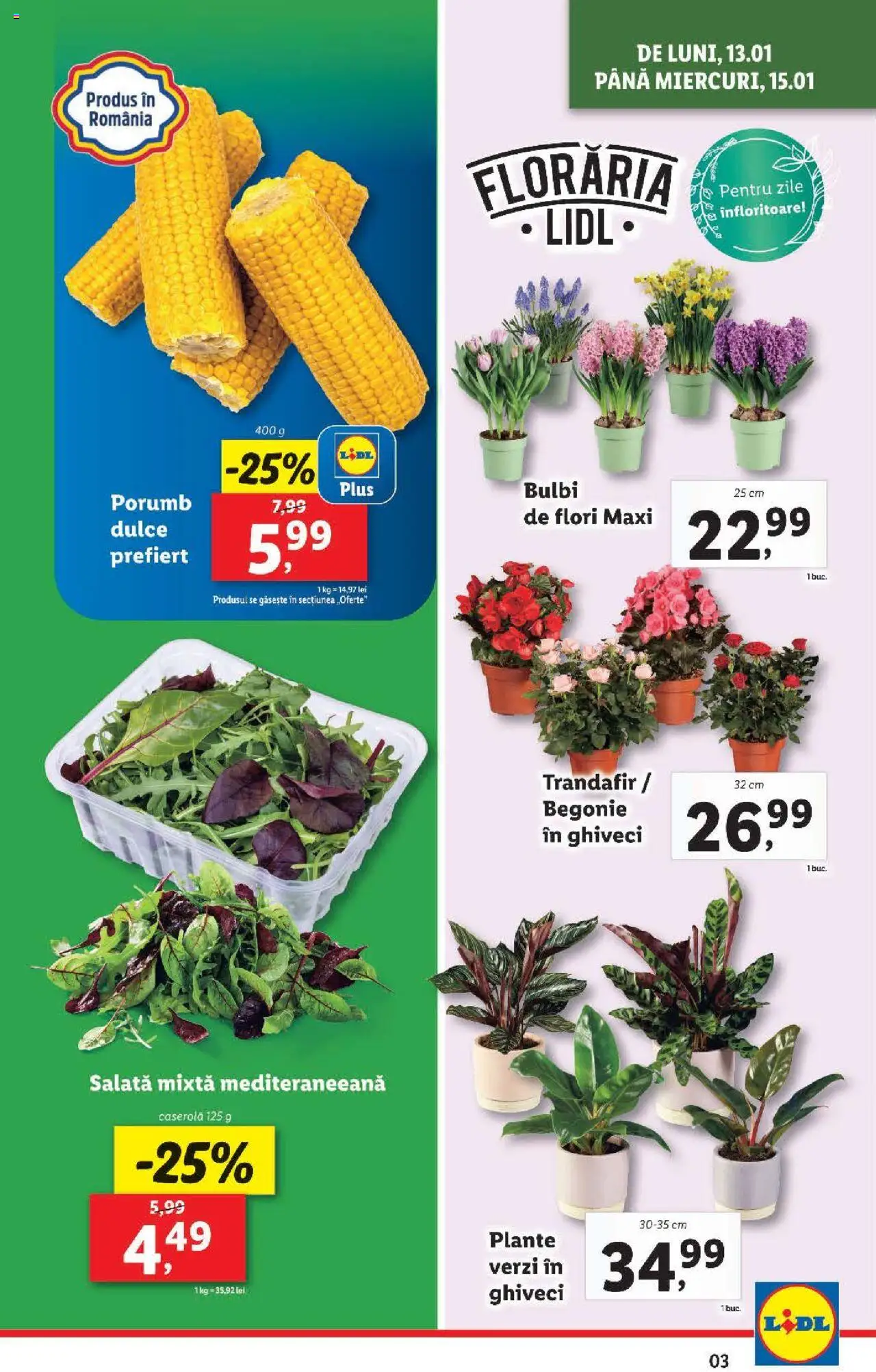 Catalog LIDL 13 - 19 Ianuarie 2025 | Pagina 3