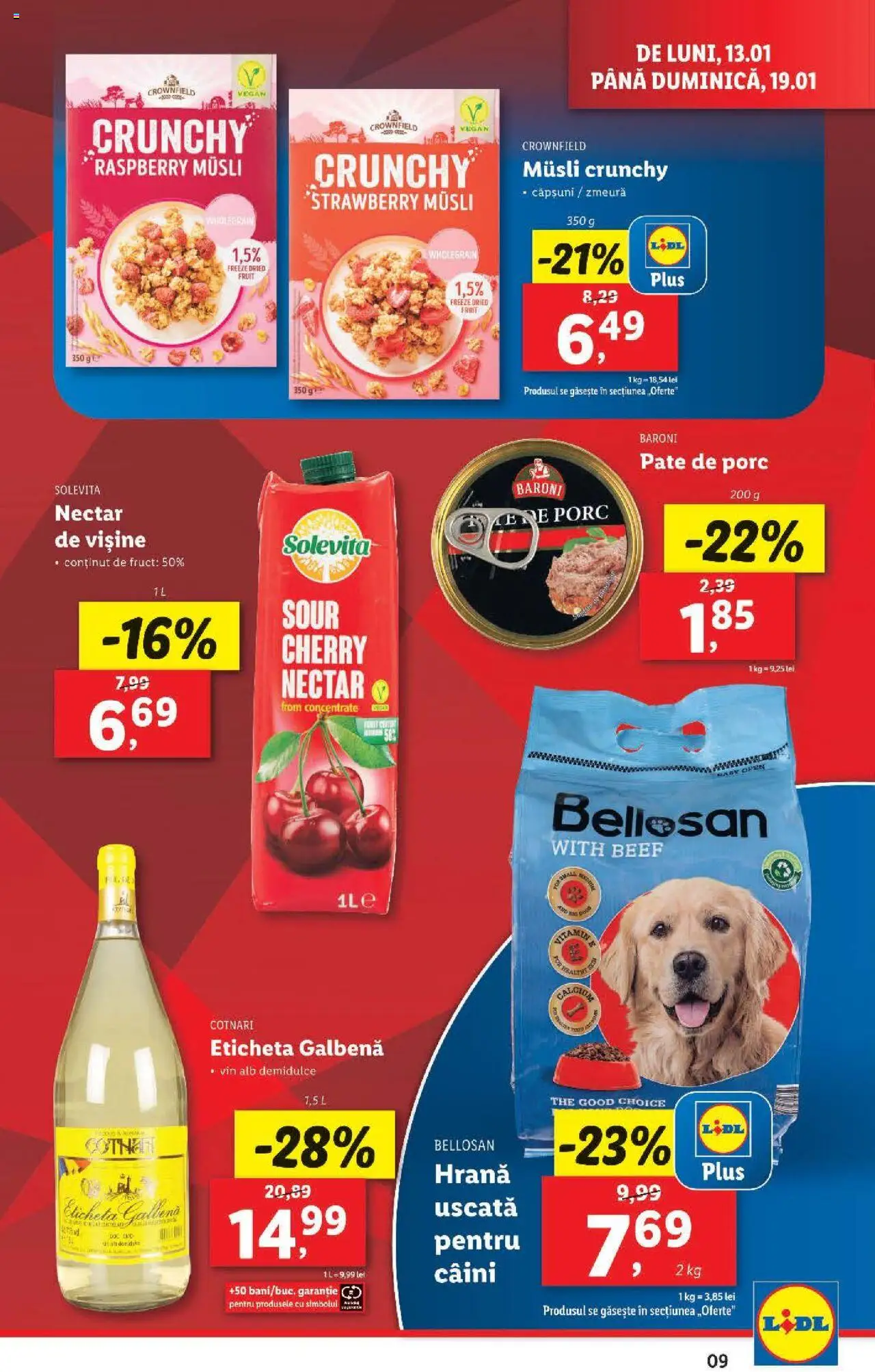 Catalog LIDL 13 - 19 Ianuarie 2025 | Pagina 9