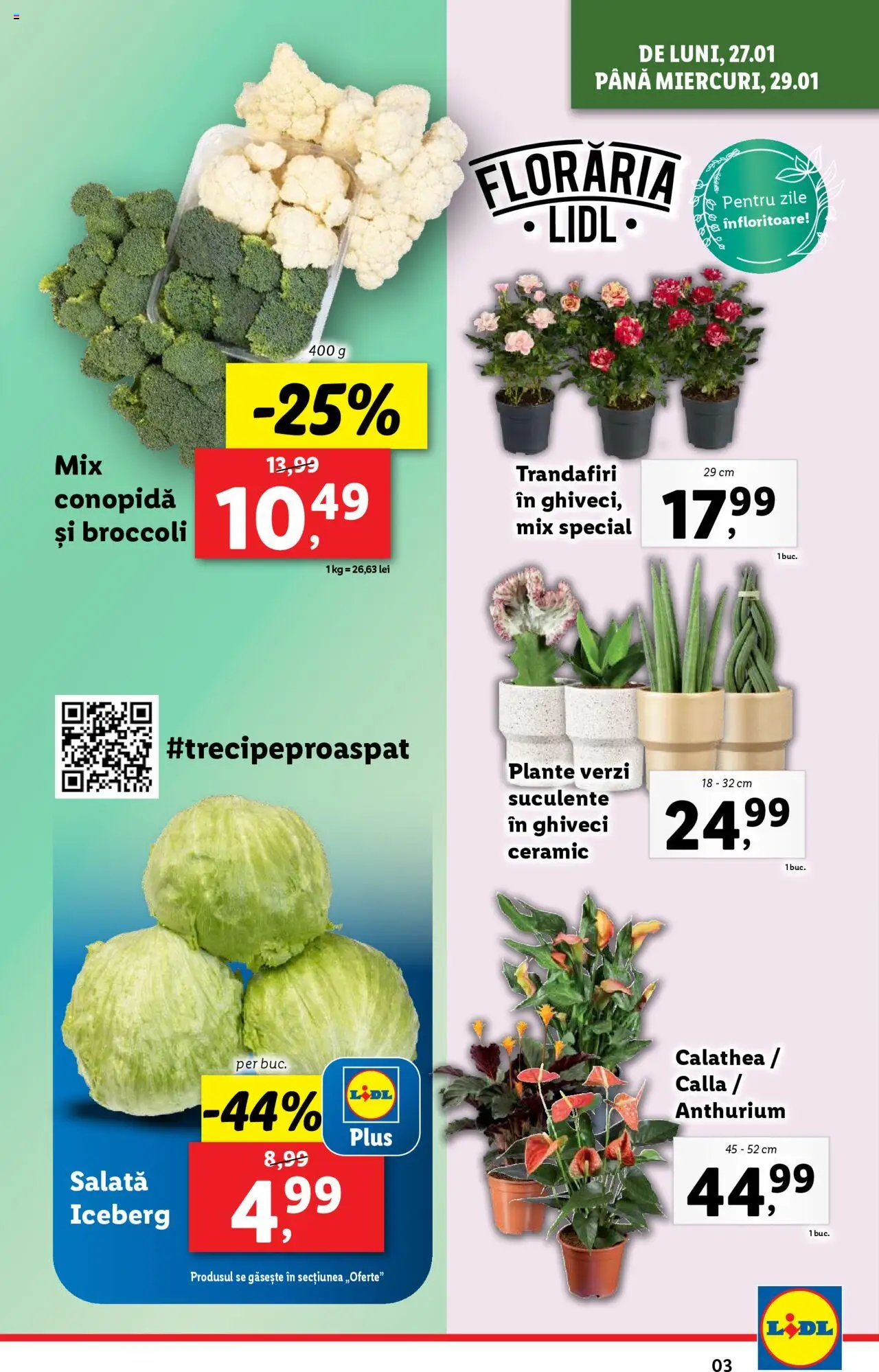 Catalog LIDL 27 Ianuarie - 2 Februarie 2025 | Pagina 3 | Produse: Conopidă, Ghiveci, Salată