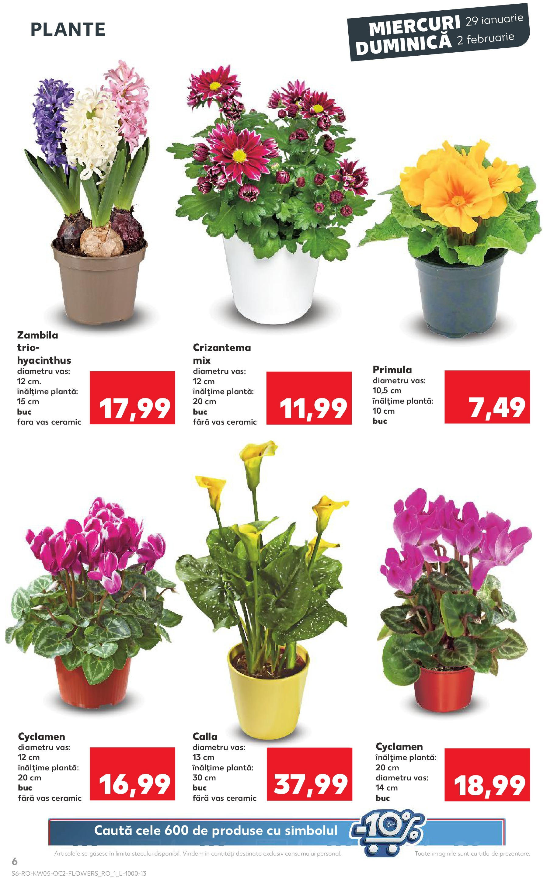 Catalog Kaufland 29 Ianuarie - 4 Februarie 2025 | Pagina 6