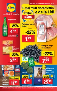 Catalog LIDL