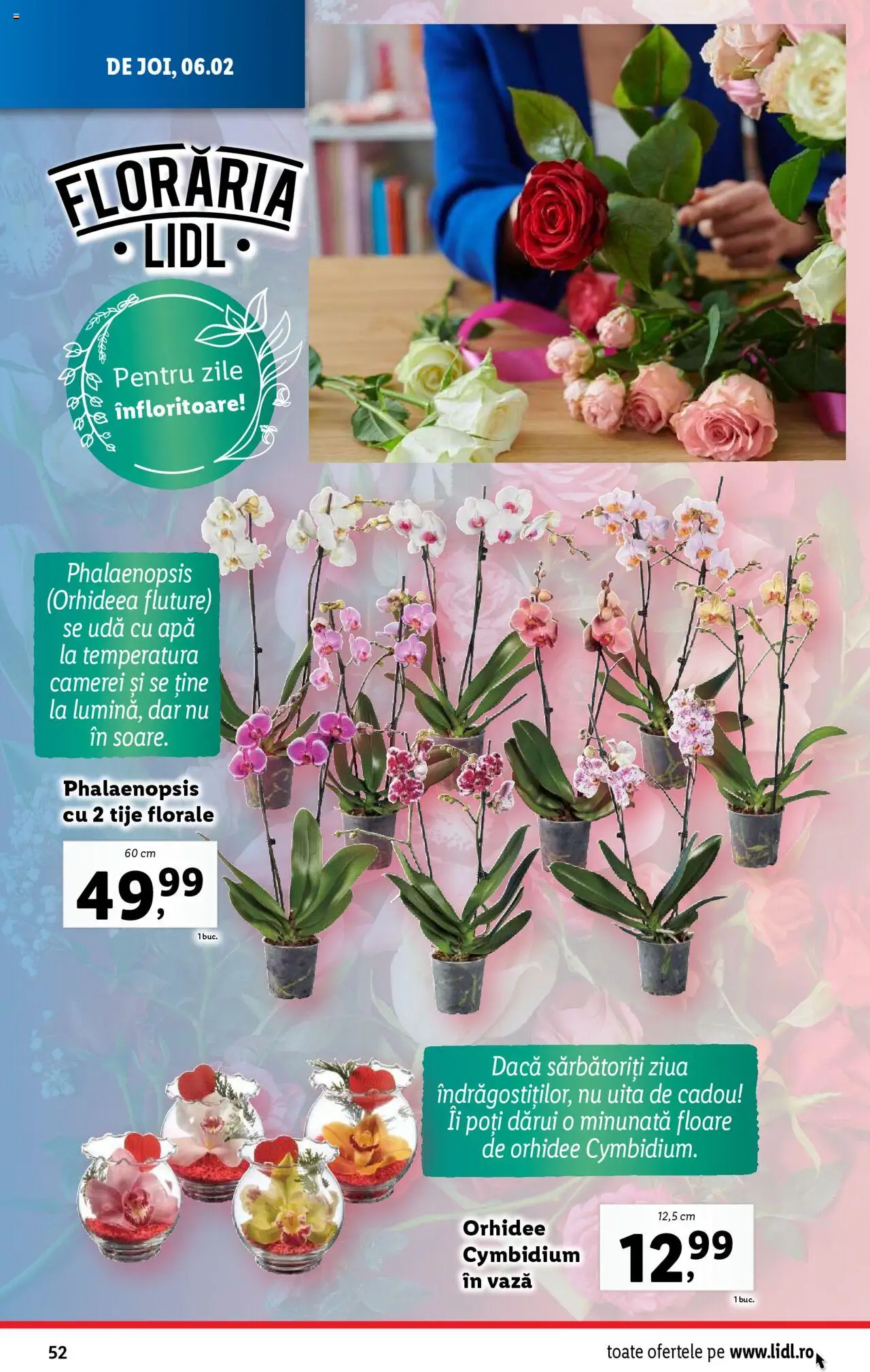 Catalog LIDL 3 - 9 Februarie 2025 | Pagina 52 | Produse: Orhidee, Vază, Apă