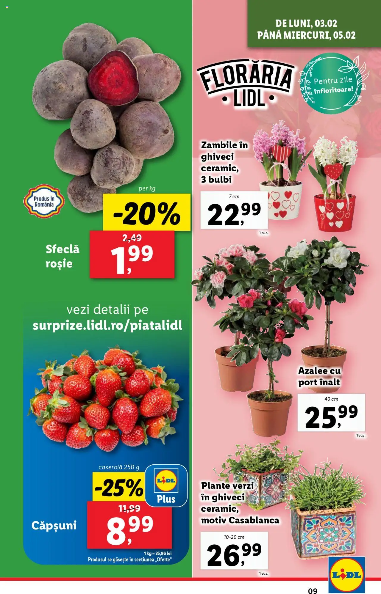 Catalog LIDL 3 - 9 Februarie 2025 | Pagina 9 | Produse: Ghiveci, Căpșuni, Sfeclă