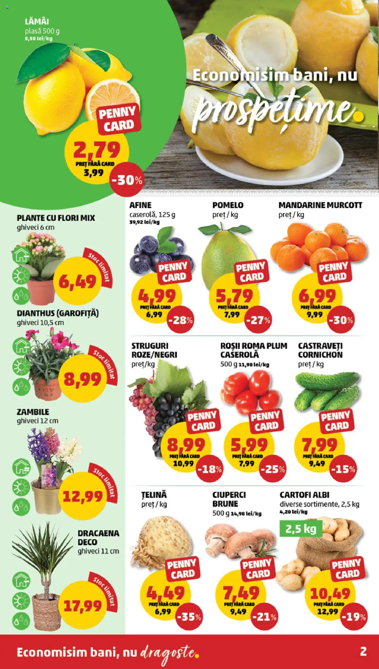 Catalog PENNY Market 29 Ianuarie - 4 Februarie 2025 | Pagina 2 | Produse: Afine, Ghiveci, Țelină, Castraveți