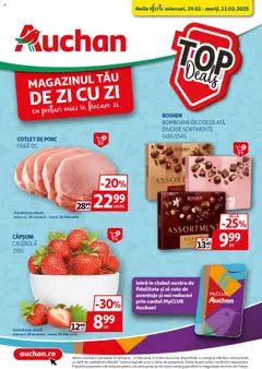 Catalog Auchan