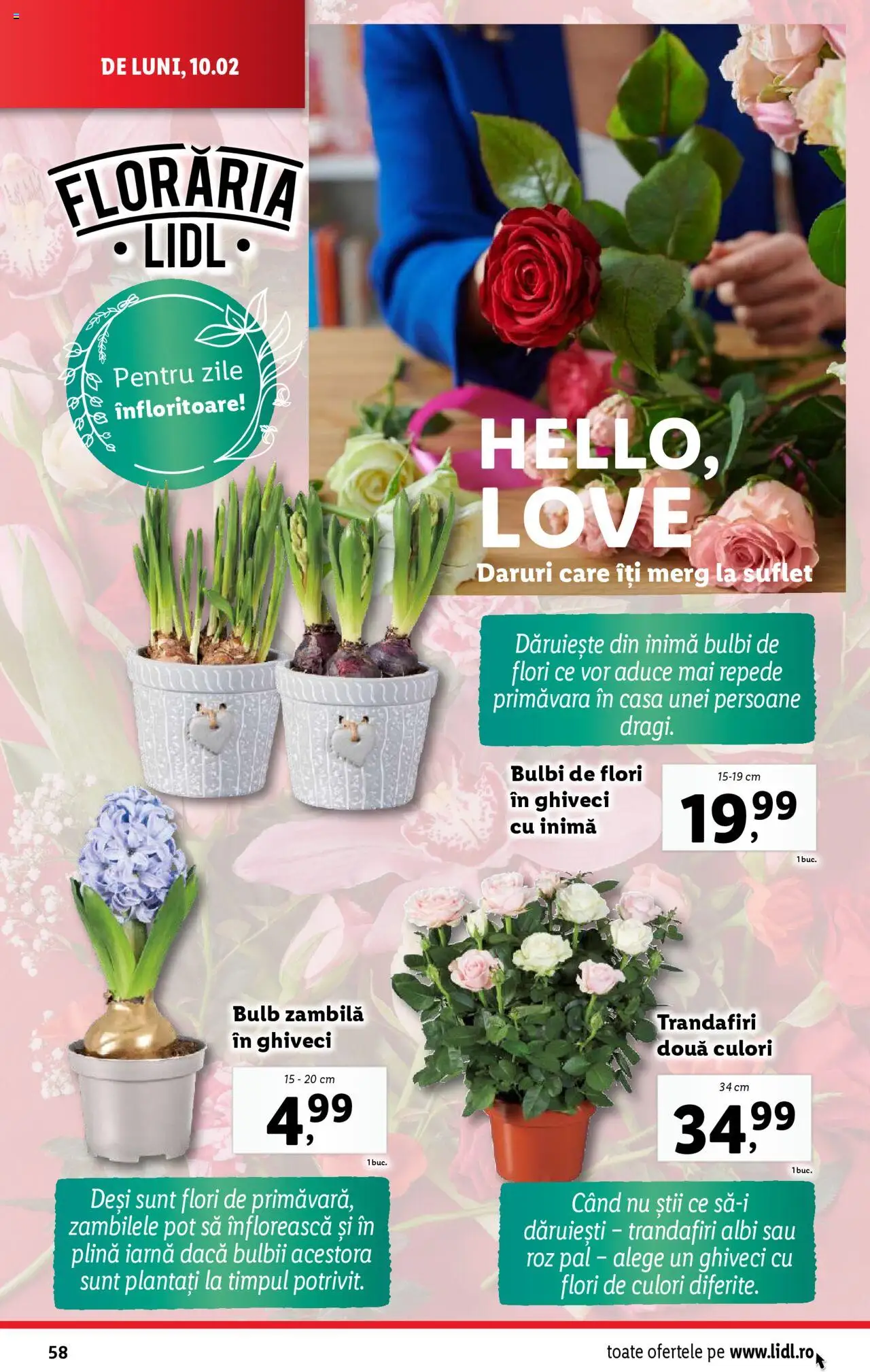 Catalog LIDL 10 - 16 Februarie 2025 | Pagina 58 | Produse: Ghiveci