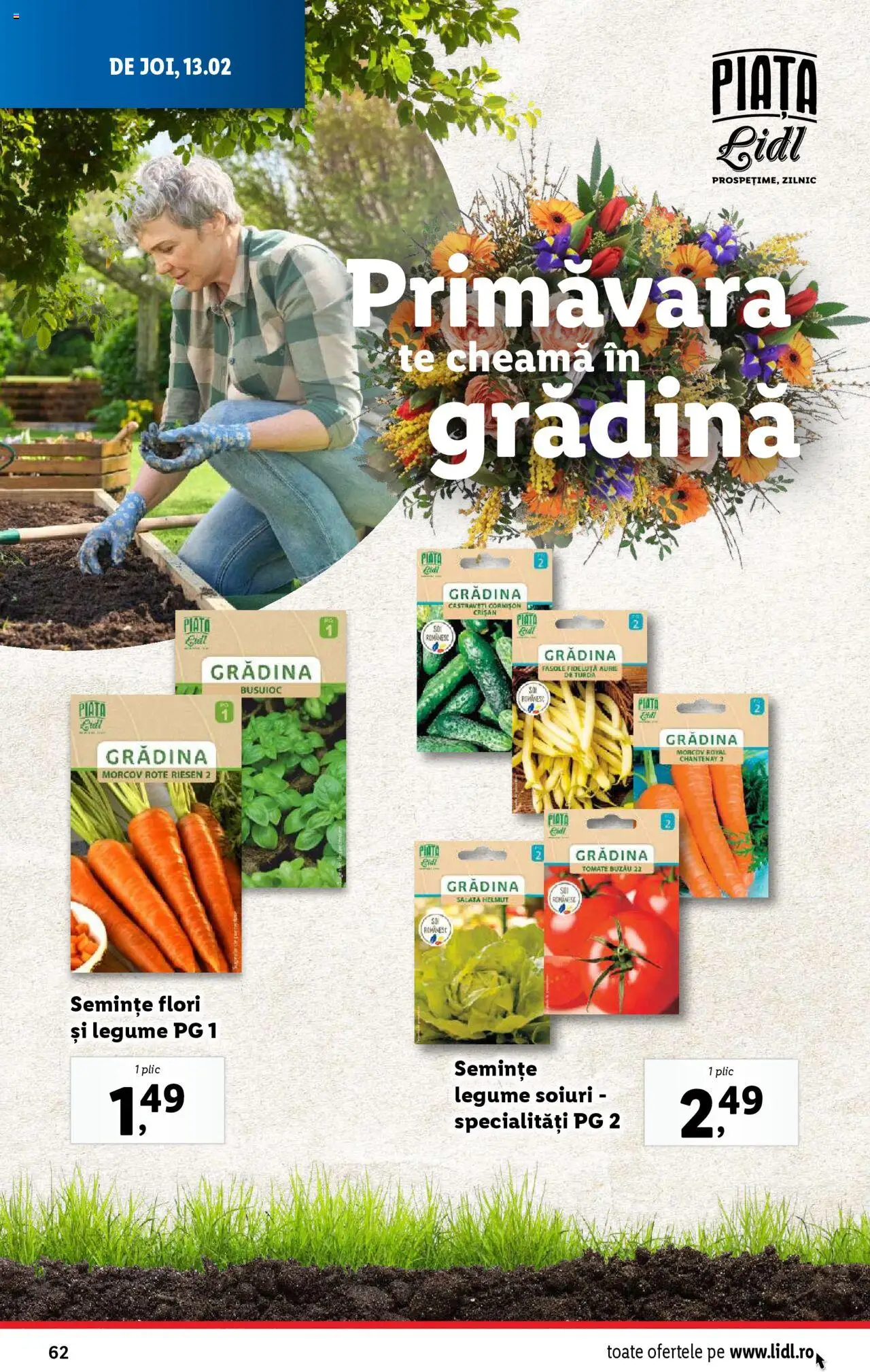 Catalog LIDL 10 - 16 Februarie 2025 | Pagina 62 | Produse: Semințe, Salată, Legume