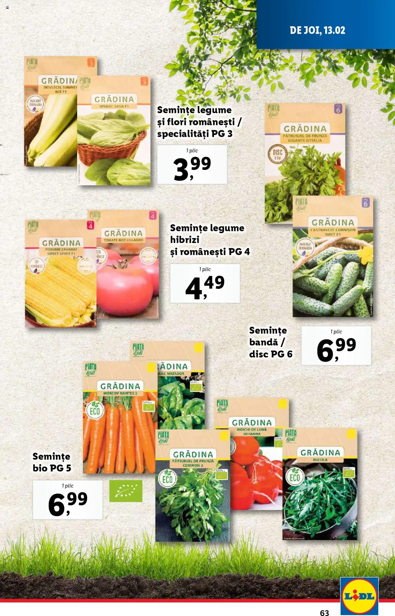 Catalog LIDL 10 - 16 Februarie 2025 | Pagina 63 | Produse: Pătrunjel, Semințe, Porumb, Legume