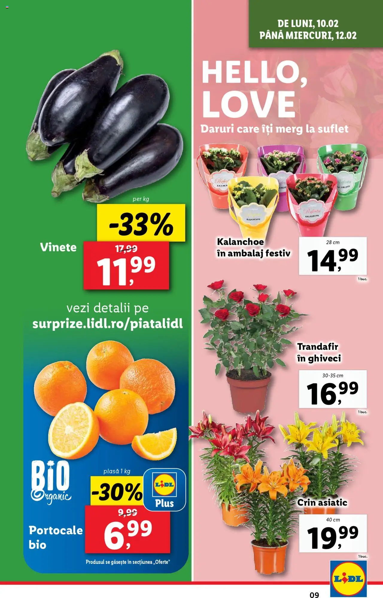 Catalog LIDL 10 - 16 Februarie 2025 | Pagina 9 | Produse: Trandafir, Ghiveci, Portocale