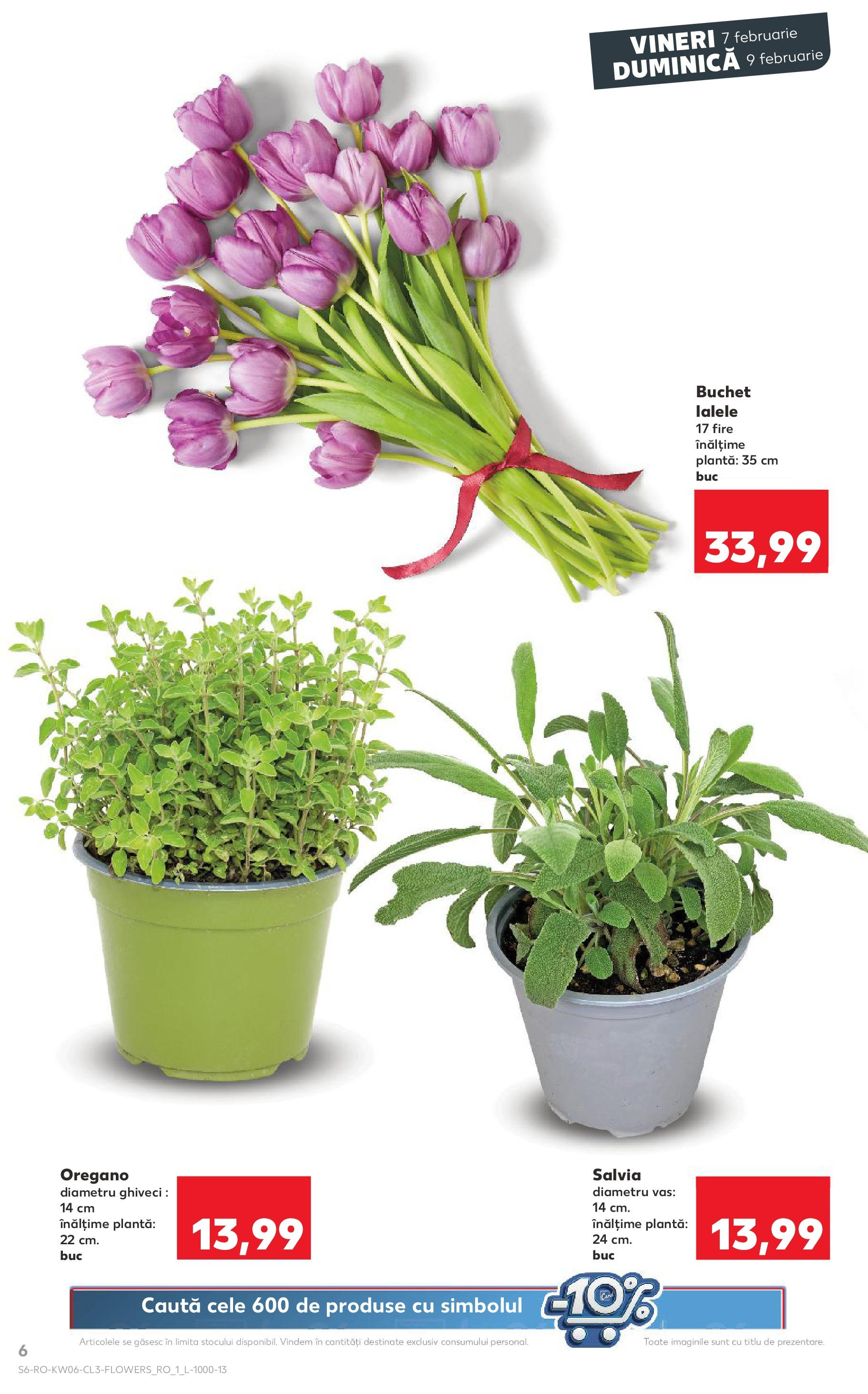 Catalog Kaufland 7 - 9 Februarie 2025 | Pagina 6 | Produse: Ghiveci
