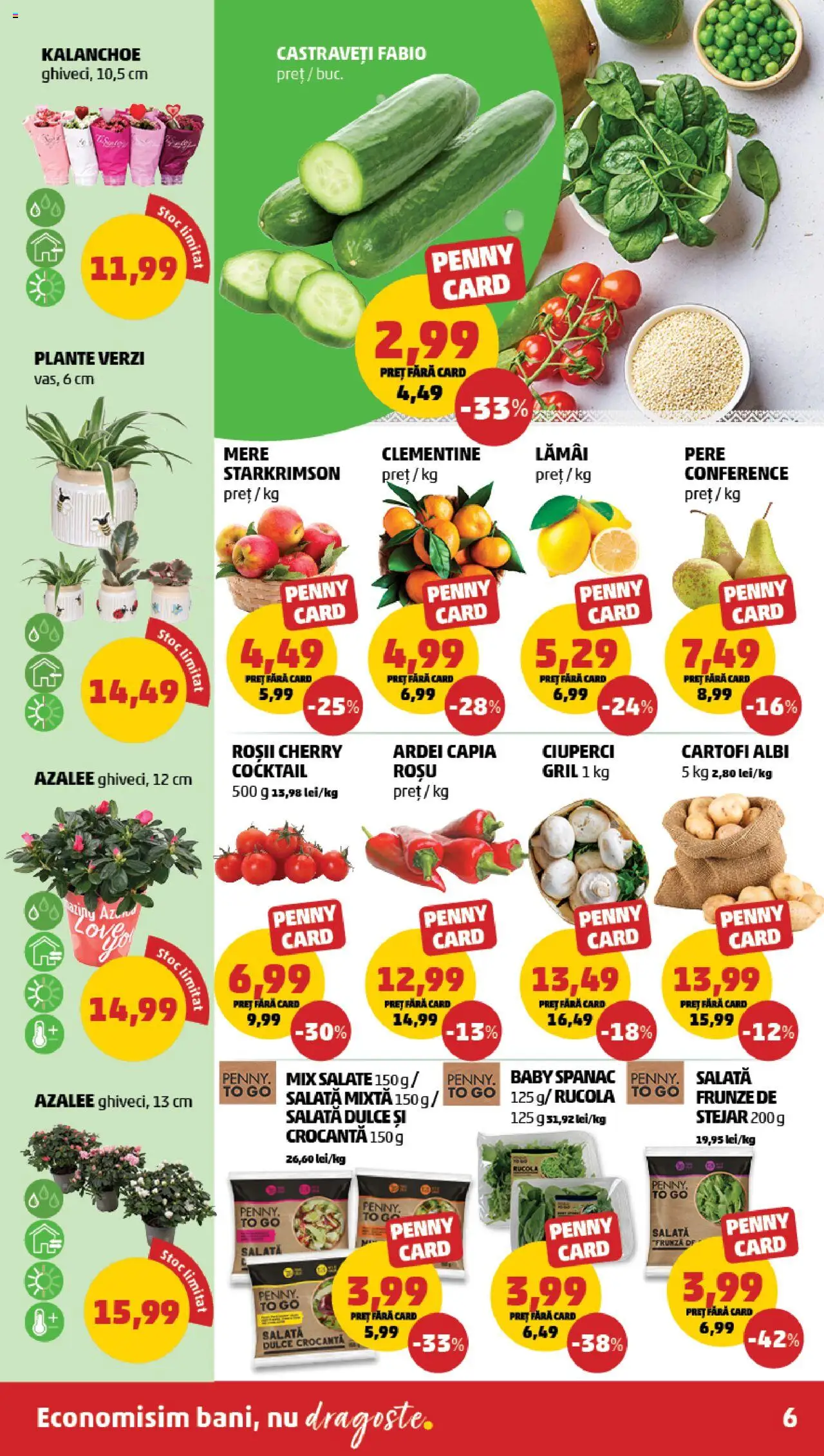 Catalog PENNY Market 5 - 11 Februarie 2025 | Pagina 6 | Produse: Ciuperci, Mere, Salată, Cartofi