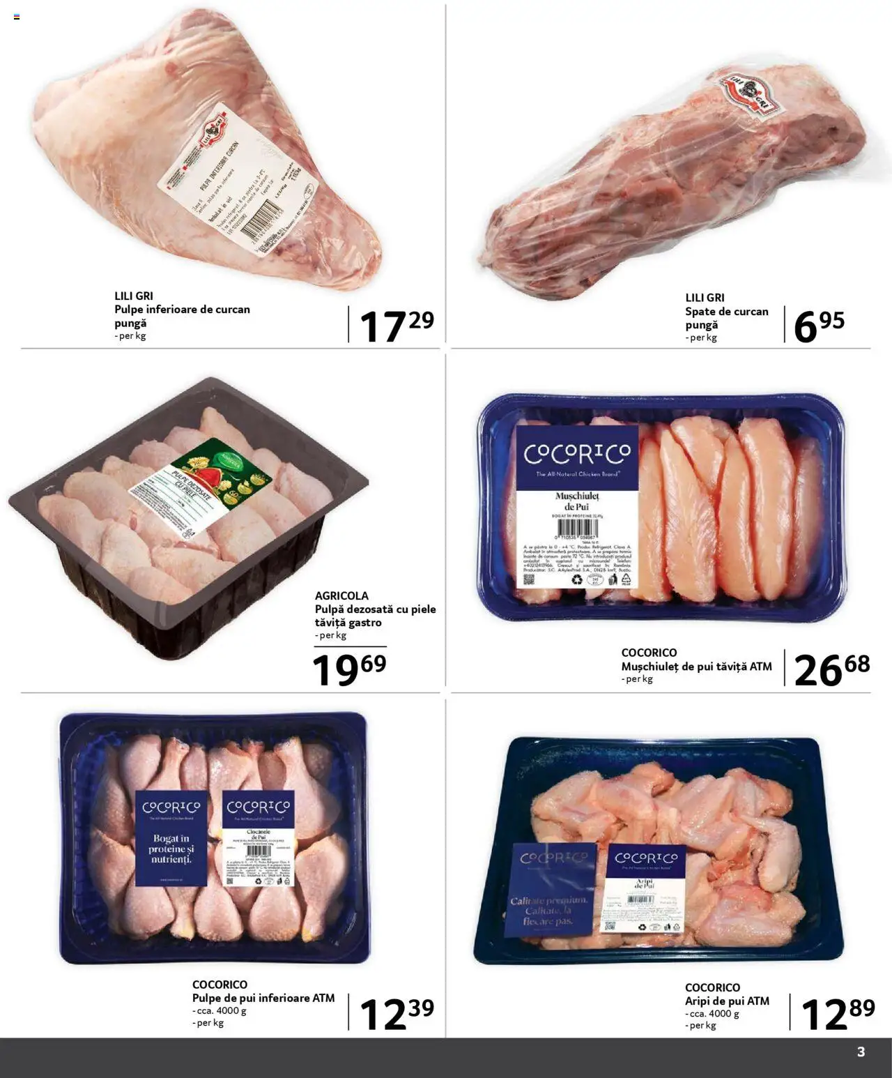 Catalog Selgros 1 - 28 Februarie 2025 | Pagina 3 | Produse: Pungă, Pește