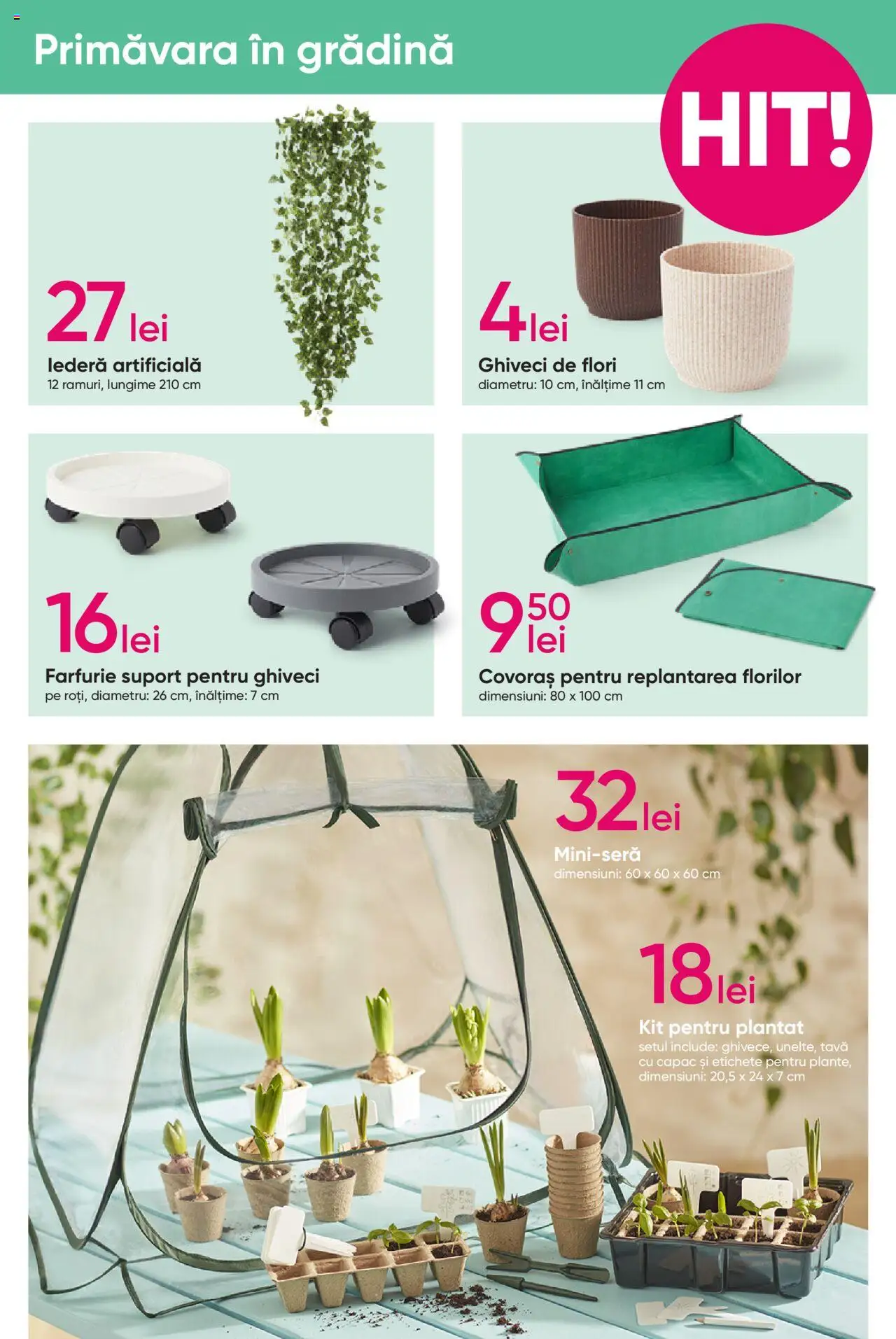 Catalog Pepco 13 - 26 Februarie 2025 | Pagina 5 | Produse: Ghiveci, Farfurie