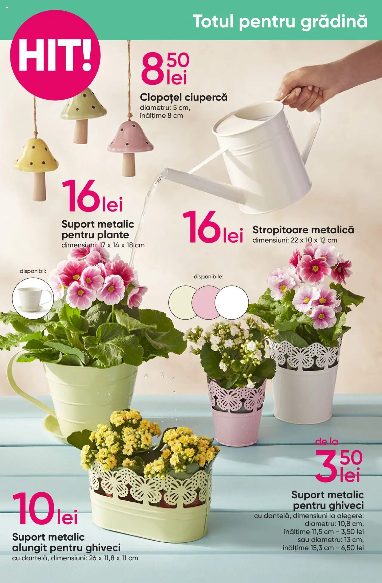 Catalog Pepco 13 - 26 Februarie 2025 | Pagina 6 | Produse: Ghiveci