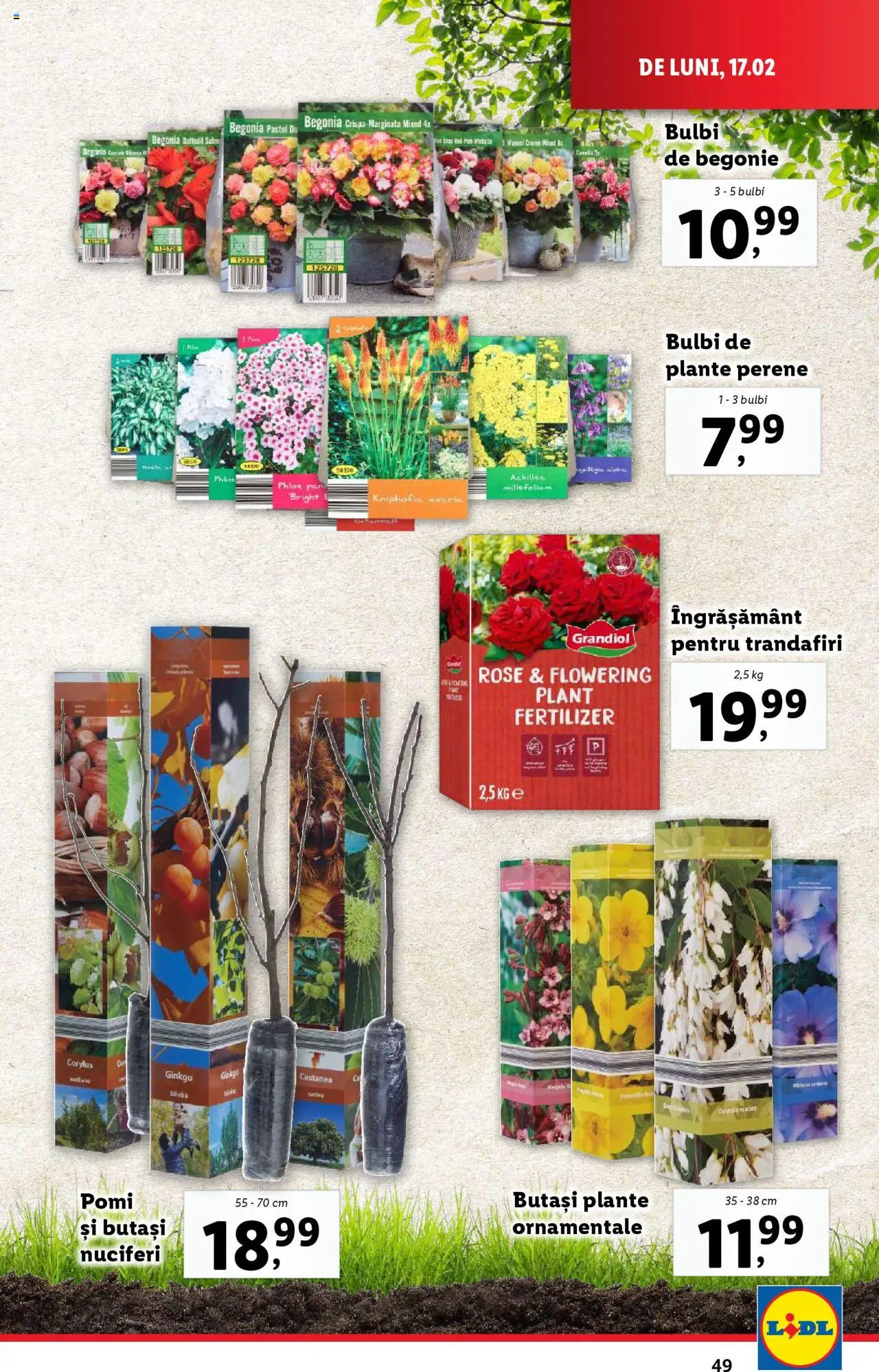Catalog LIDL 17 - 23 Februarie 2025 | Pagina 49