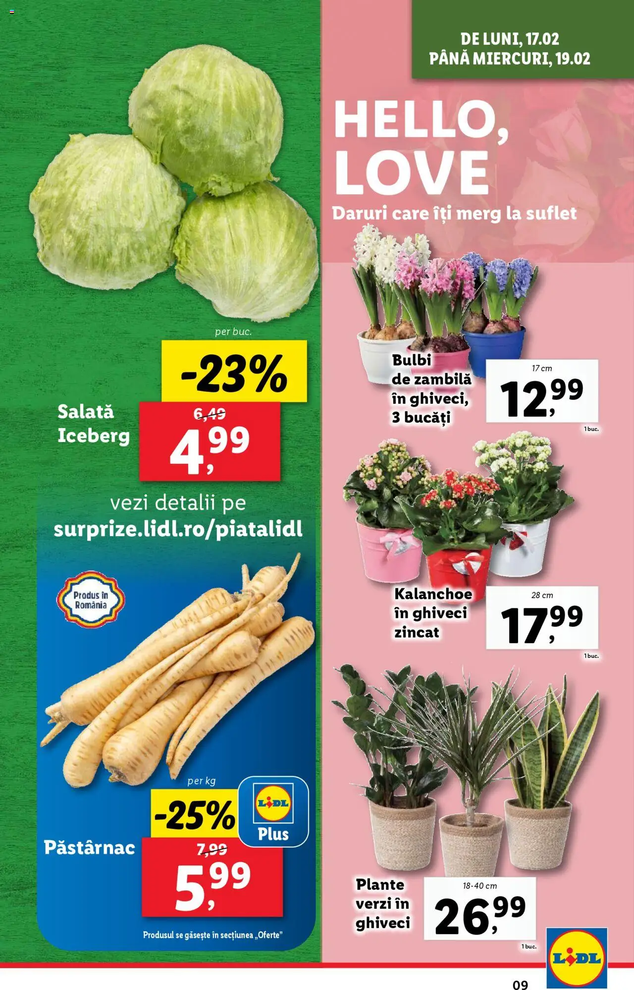 Catalog LIDL 17 - 23 Februarie 2025 | Pagina 9 | Produse: Press Kemik, Ghiveci, Salată