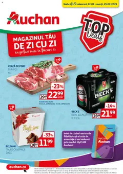Catalog Auchan
