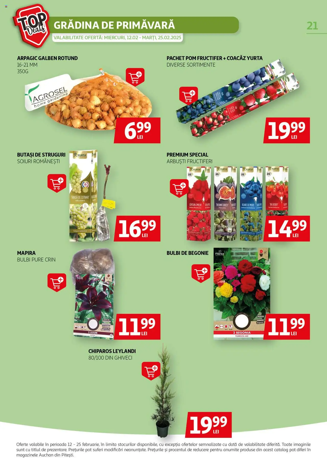 Catalog Auchan 12 - 25 Februarie 2025 | Pagina 21 | Produse: Struguri, Ghiveci