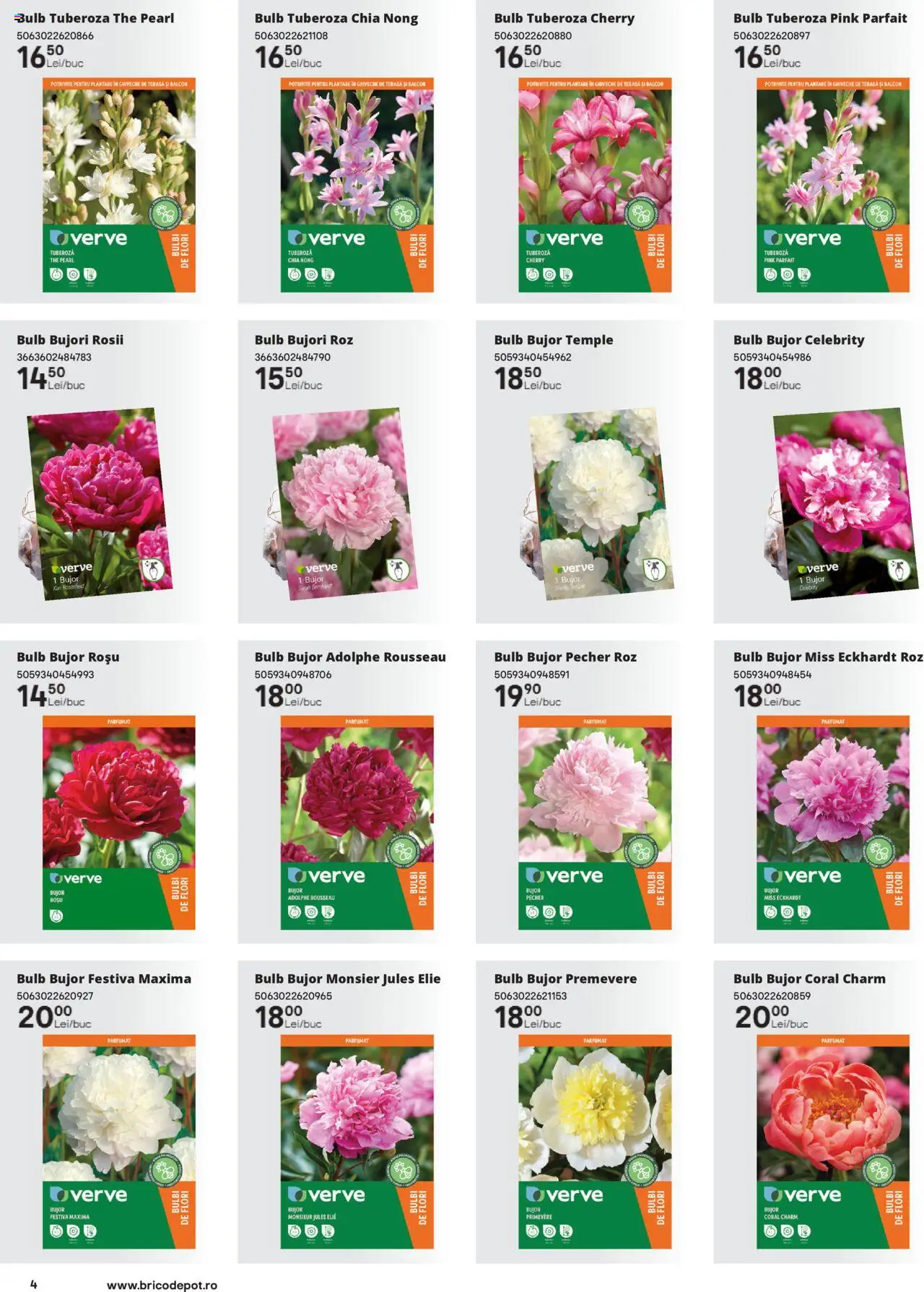 Catalog Brico Depot 14 Februarie - 31 Mai 2025 | Pagina 4 | Produse: Roșii