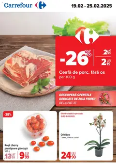 Catalog Carrefour