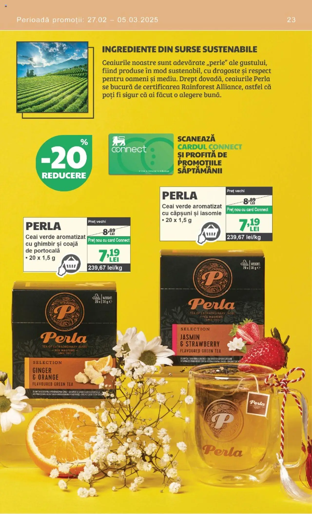 Catalog Mega Image 13 Februarie - 12 Martie 2025 | Pagina 23 | Produse: Ceai, Căpșuni