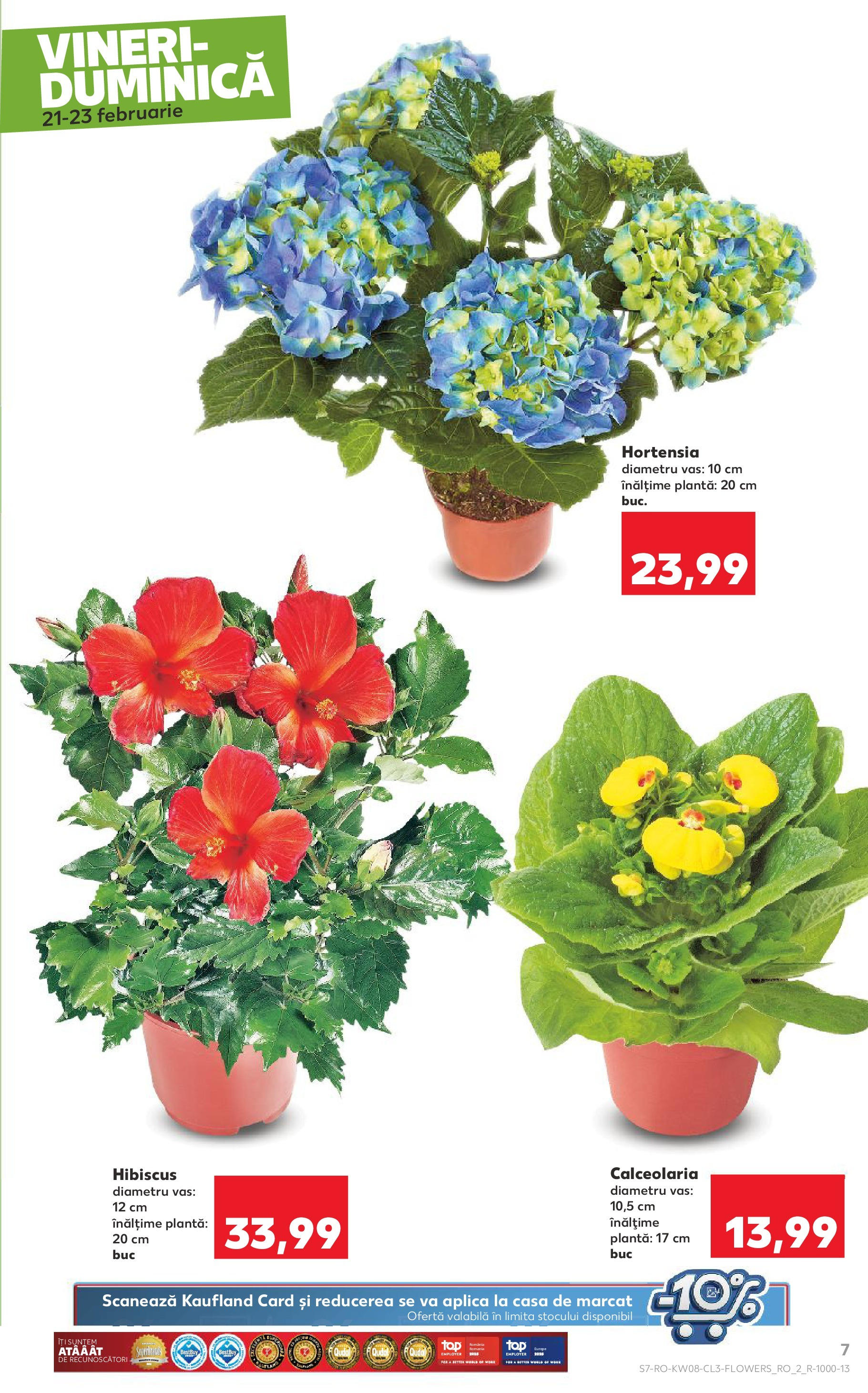 Catalog Kaufland 21 - 23 Februarie 2025 | Pagina 7