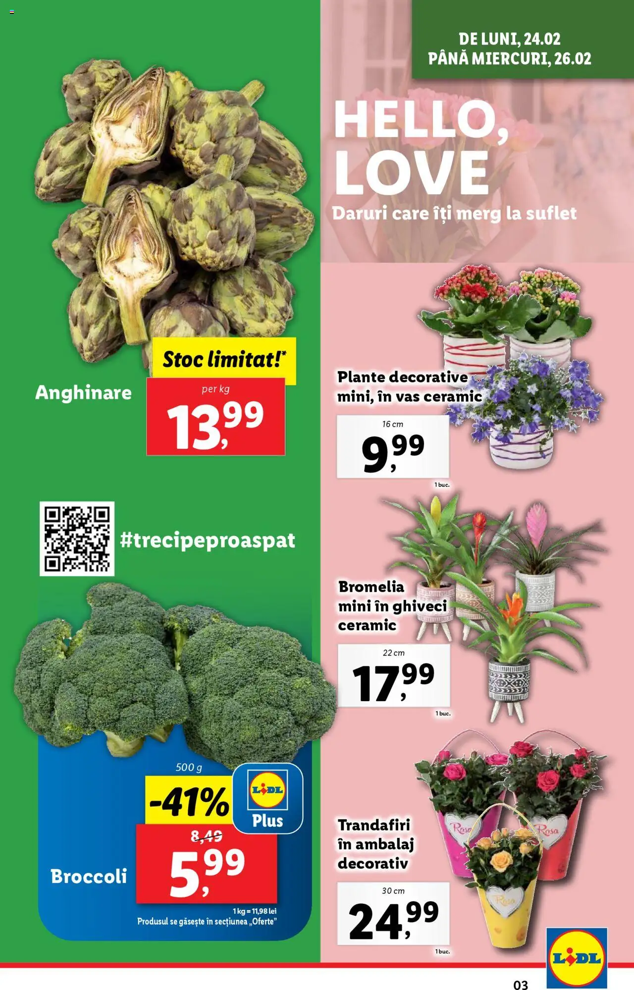 Catalog LIDL 24 Februarie - 2 Martie 2025 | Pagina 3 | Produse: Bromelia, Ghiveci
