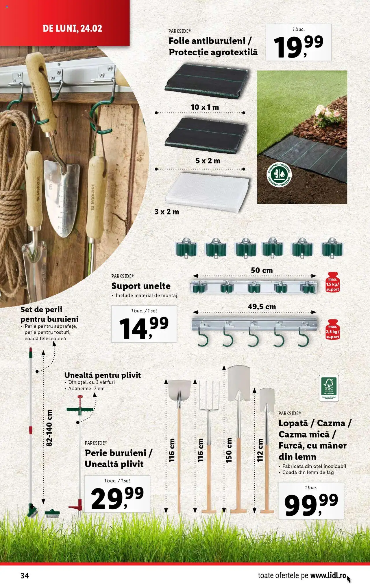 Catalog LIDL 24 Februarie - 2 Martie 2025 | Pagina 34 | Produse: Mâner, Perie