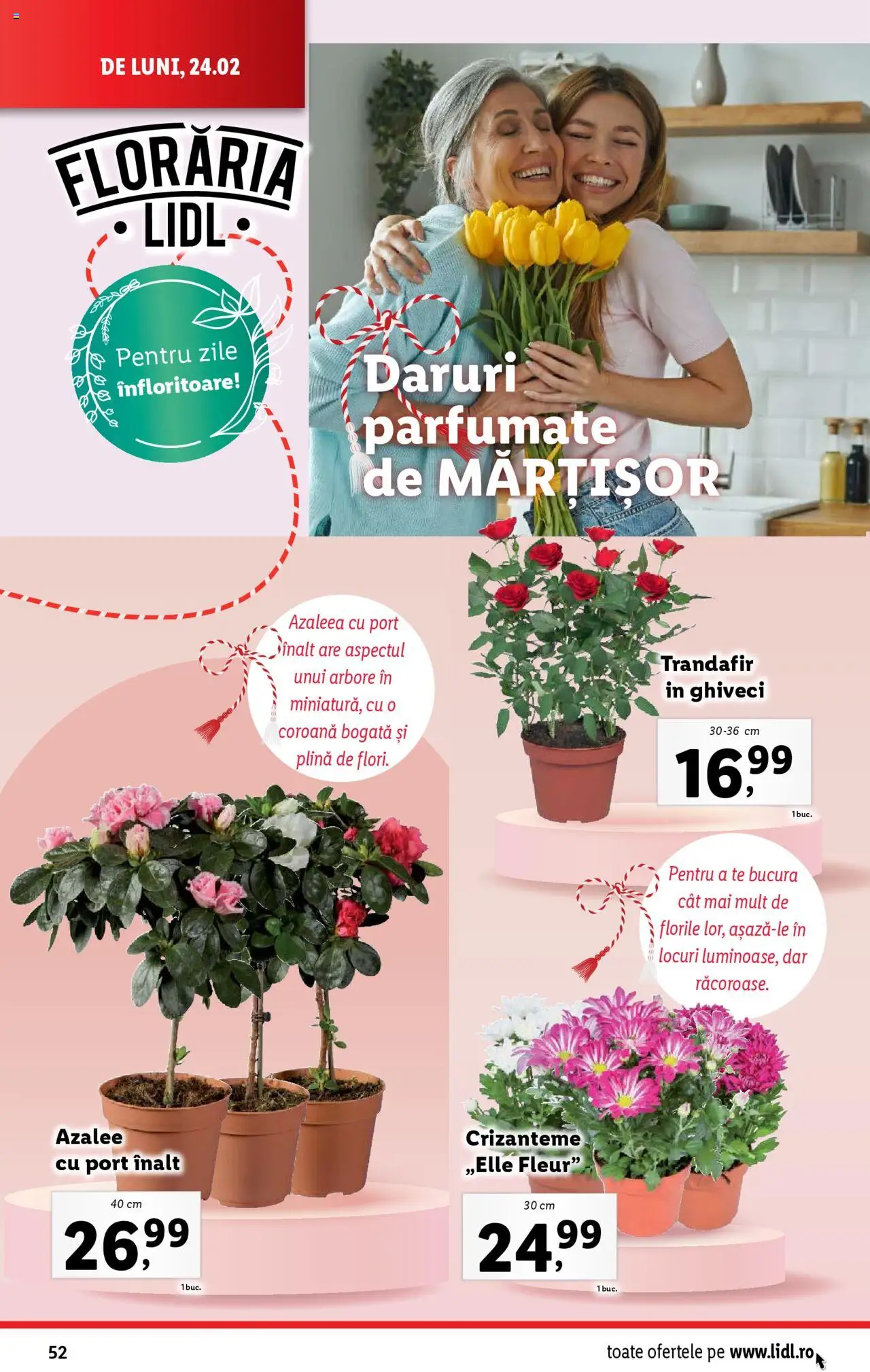 Catalog LIDL 24 Februarie - 2 Martie 2025 | Pagina 52 | Produse: Trandafir, Ghiveci