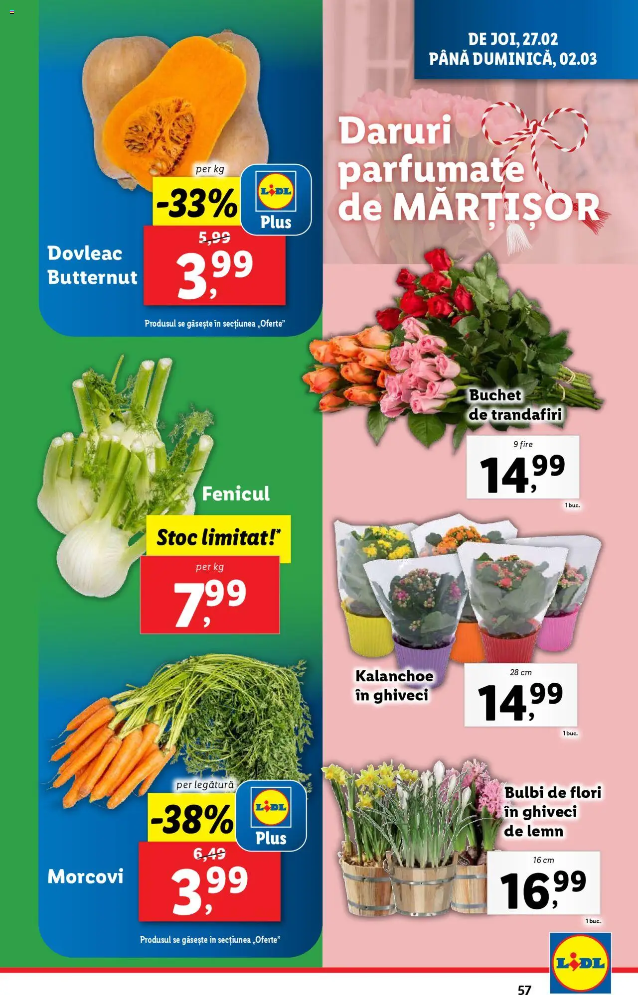 Catalog LIDL 24 Februarie - 2 Martie 2025 | Pagina 57 | Produse: Dovleac, Ghiveci, Morcovi