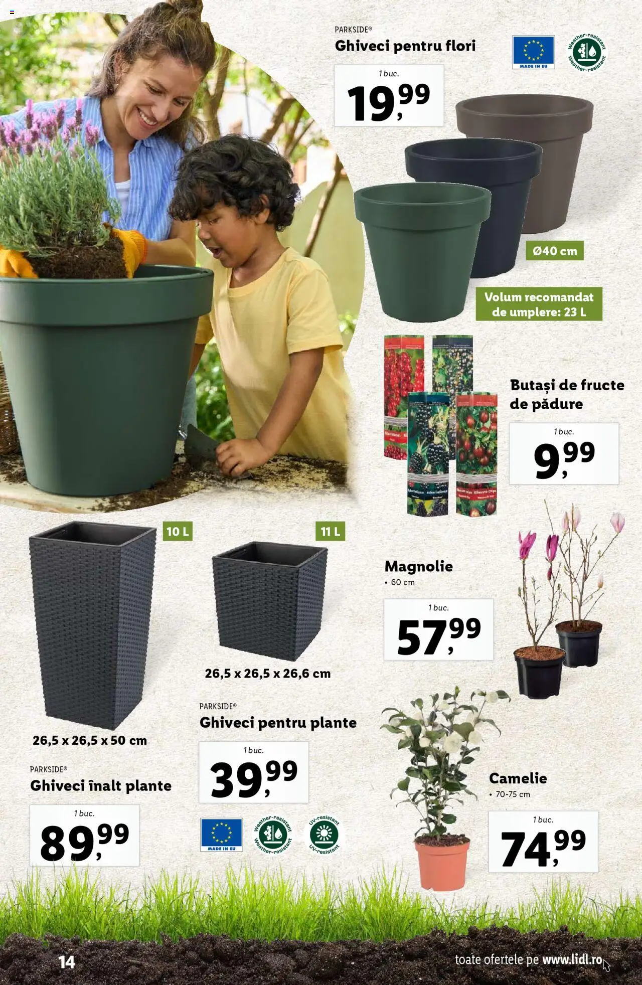 Catalog LIDL 24 Februarie - 13 Aprilie 2025 | Pagina 14 | Produse: Ghiveci, Fructe