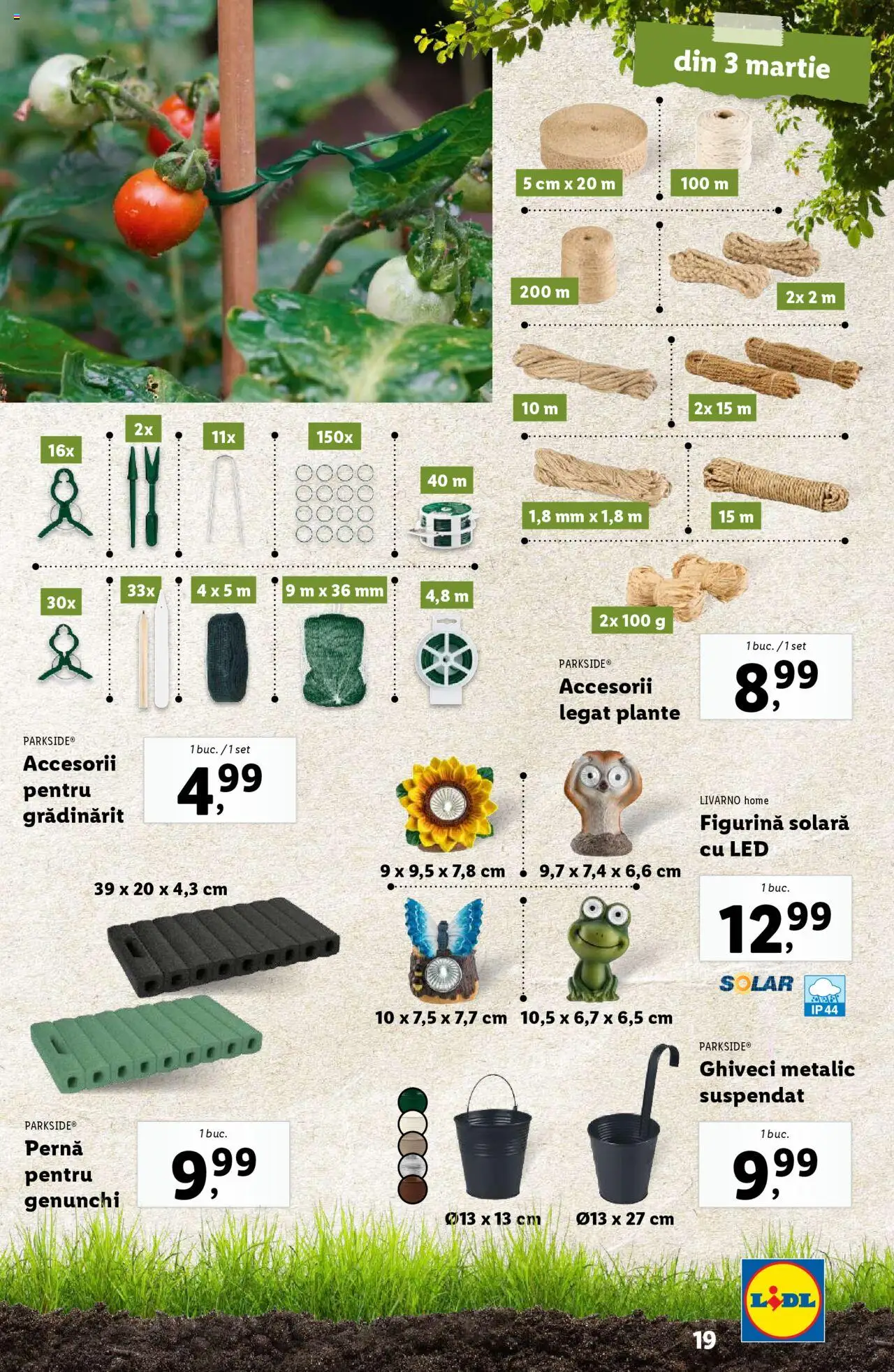 Catalog LIDL 24 Februarie - 13 Aprilie 2025 | Pagina 19 | Produse: Pernă, Babak, Ghiveci