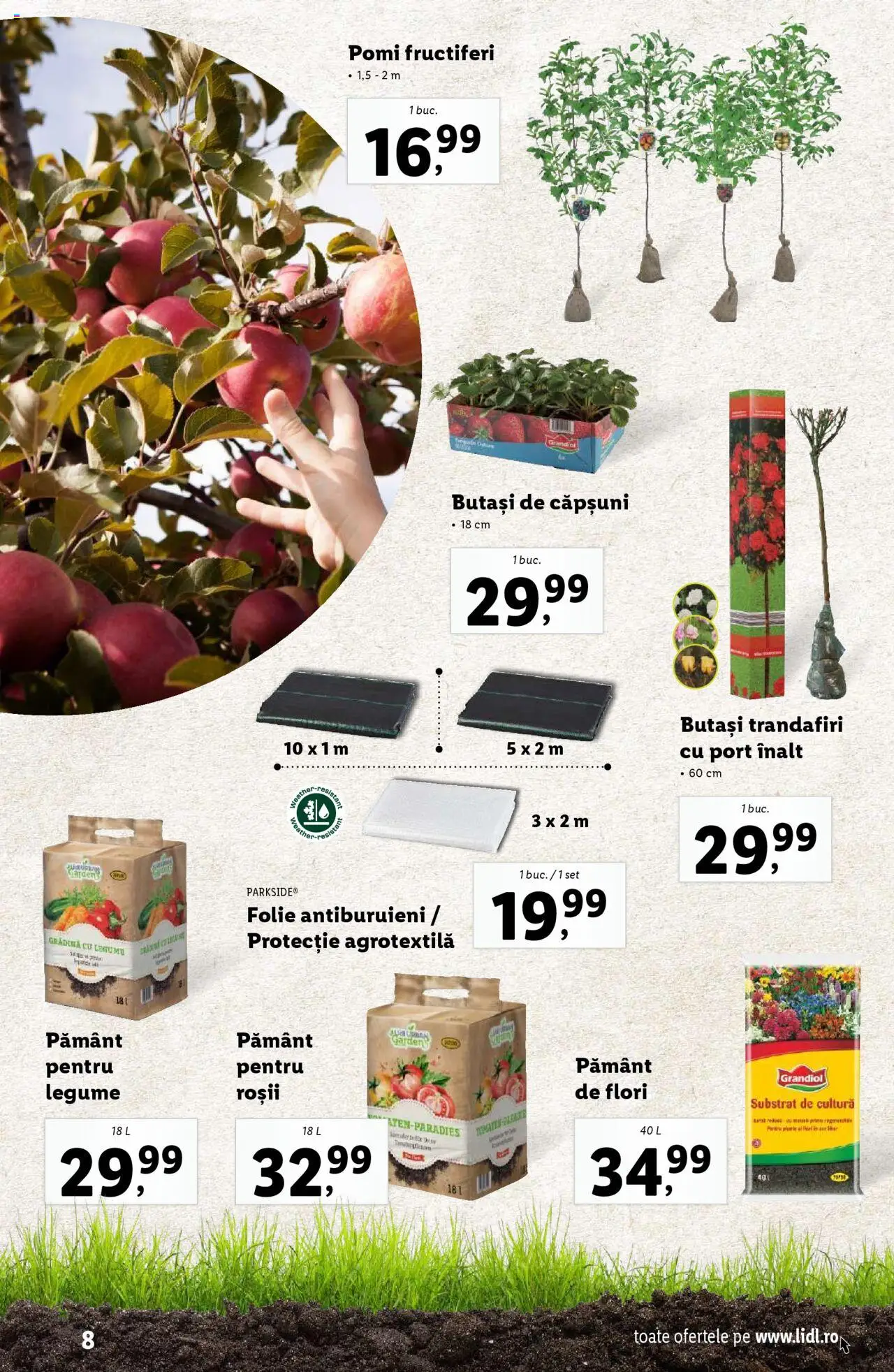 Catalog LIDL 24 Februarie - 13 Aprilie 2025 | Pagina 8 | Produse: Roșii, Căpșuni, Legume