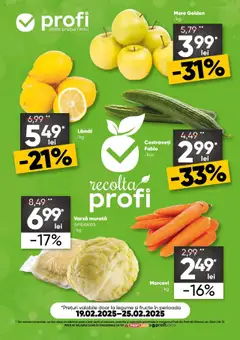 Catalog Profi