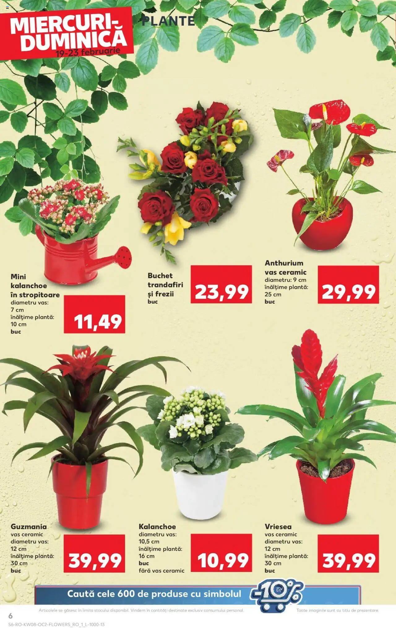 Catalog Kaufland 19 - 25 Februarie 2025 | Pagina 6
