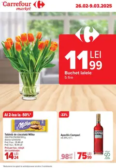 Catalog Carrefour