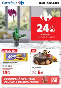 Catalog Carrefour