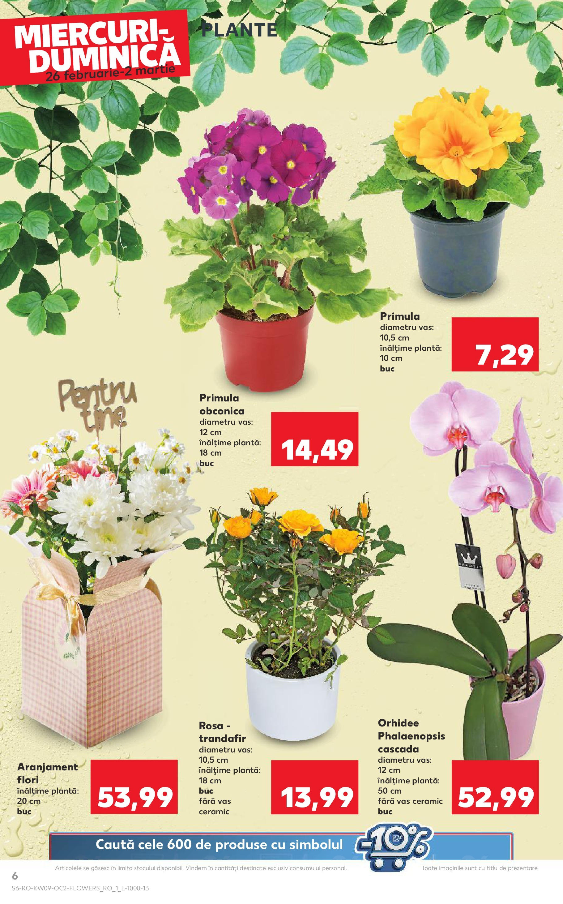 Catalog Kaufland 26 Februarie - 4 Martie 2025 | Pagina 6 | Produse: Trandafir, Orhidee