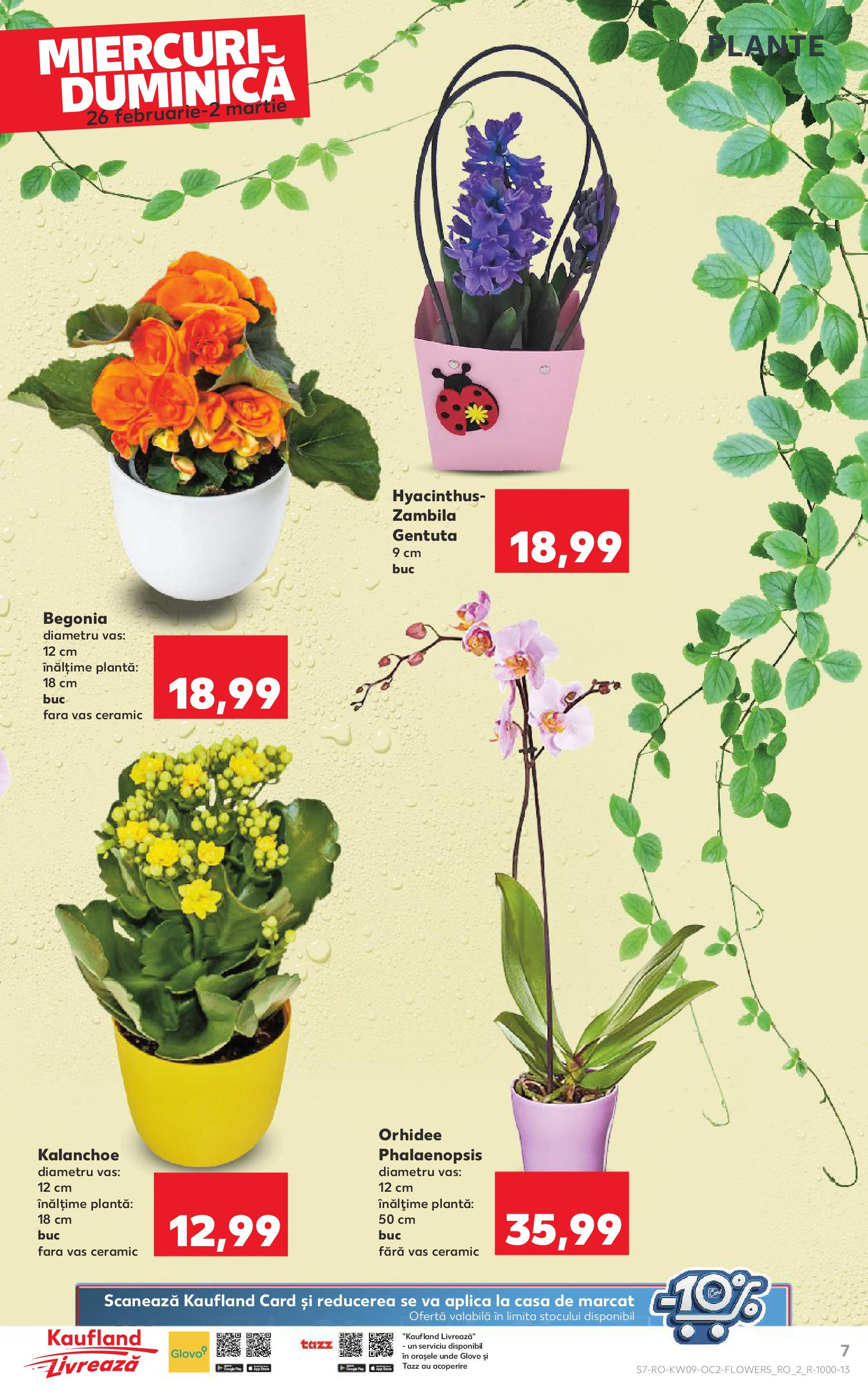 Catalog Kaufland 26 Februarie - 4 Martie 2025 | Pagina 7 | Produse: Orhidee