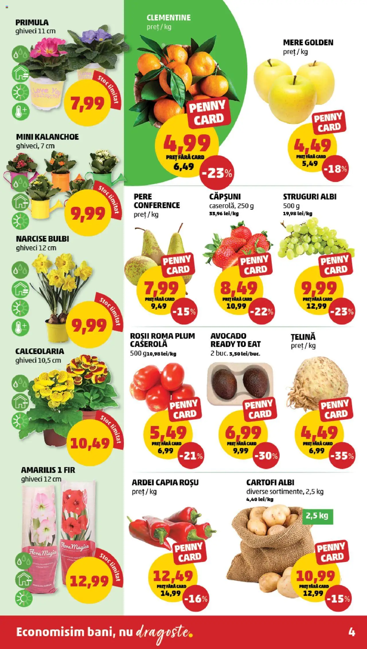 Catalog PENNY Market 26 Februarie - 4 Martie 2025 | Pagina 4 | Produse: Țelină, Konuşturucu Kuş Yemleri, Mere, Roșii
